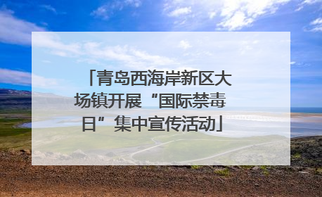 青岛西海岸新区大场镇开展“国际禁毒日”集中宣传活动
