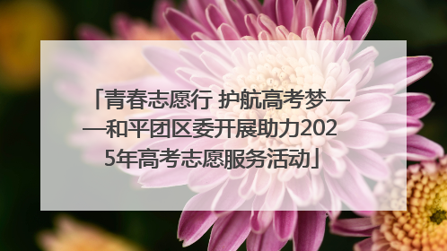 青春志愿行 护航高考梦——和平团区委开展助力2025年高考志愿服务活动