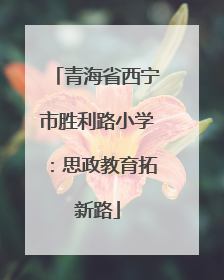 青海省西宁市胜利路小学：思政教育拓新路
