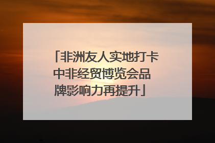 非洲友人实地打卡 中非经贸博览会品牌影响力再提升