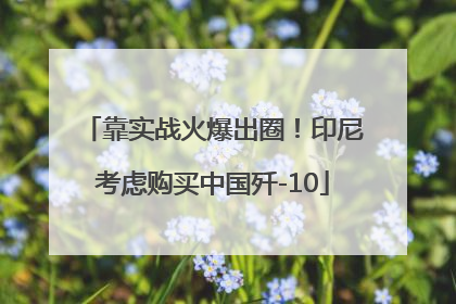 靠实战火爆出圈！印尼考虑购买中国歼-10