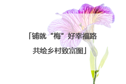 铺就“梅”好幸福路 共绘乡村致富图