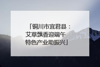 铜川市宜君县：艾草飘香迎端午 特色产业助振兴