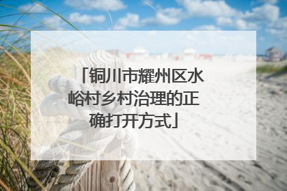铜川市耀州区水峪村乡村治理的正确打开方式