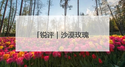 锐评｜沙漠玫瑰开花了，中国人的浪漫叫“担当”