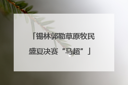 锡林郭勒草原牧民盛夏决赛“马超”