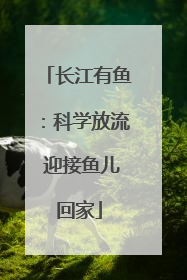 长江有鱼：科学放流 迎接鱼儿回家