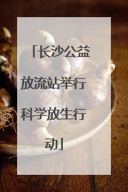 长沙公益放流站举行科学放生行动