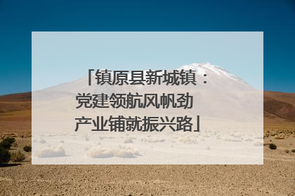 镇原县新城镇：党建领航风帆劲 产业铺就振兴路