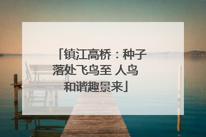 镇江高桥：种子落处飞鸟至 人鸟和谐趣景来