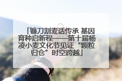 镰刀割麦话传承 基因育种启新程——第十届杨凌小麦文化节见证“颗粒归仓”时空跨越
