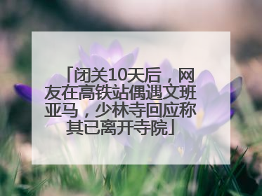 闭关10天后，网友在高铁站偶遇文班亚马，少林寺回应称其已离开寺院