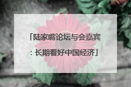 陆家嘴论坛与会嘉宾：长期看好中国经济
