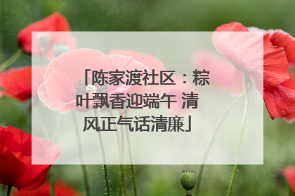 陈家渡社区：粽叶飘香迎端午 清风正气话清廉