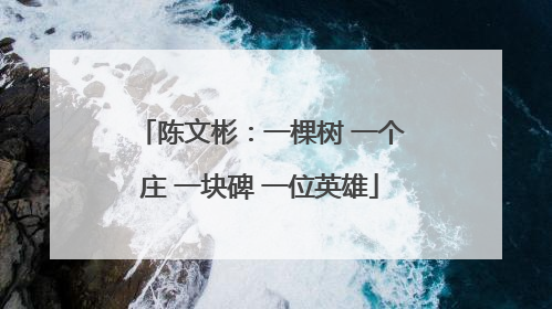 陈文彬：一棵树 一个庄 一块碑 一位英雄