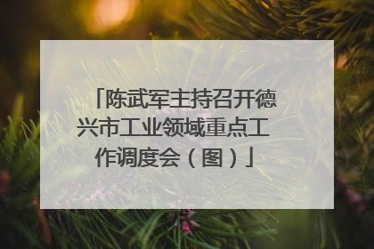 陈武军主持召开德兴市工业领域重点工作调度会（图）