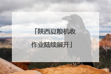 陕西夏粮机收作业陆续展开