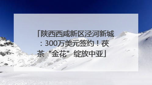 陕西西咸新区泾河新城：300万美元签约！茯茶“金花”绽放中亚