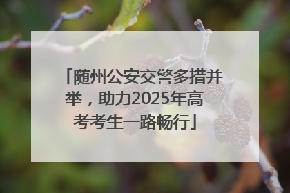 随州公安交警多措并举，助力2025年高考考生一路畅行