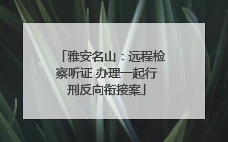 雅安名山：远程检察听证 办理一起行刑反向衔接案