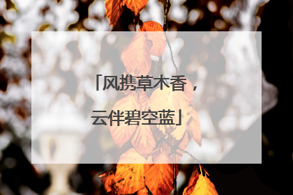 风携草木香，云伴碧空蓝
