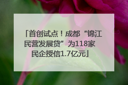 首创试点！成都“锦江民营发展贷”为118家民企授信1.7亿元
