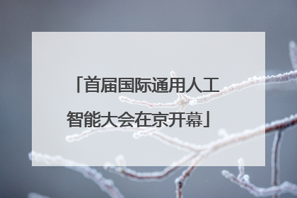 首届国际通用人工智能大会在京开幕
