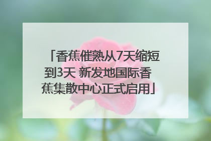 香蕉催熟从7天缩短到3天 新发地国际香蕉集散中心正式启用