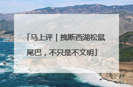 马上评｜拽断西湖松鼠尾巴，不只是不文明