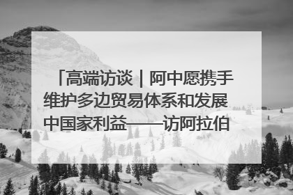 高端访谈｜阿中愿携手维护多边贸易体系和发展中国家利益——访阿拉伯议会议长亚马希