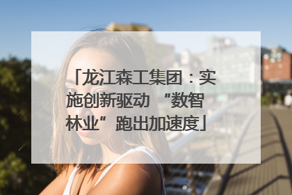 龙江森工集团：实施创新驱动 “数智林业”跑出加速度