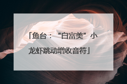 鱼台：“白富美”小龙虾跳动增收音符