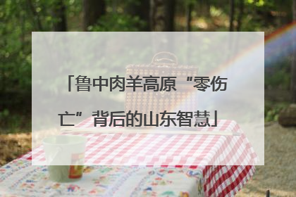 鲁中肉羊高原“零伤亡”背后的山东智慧