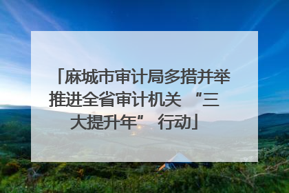 麻城市审计局多措并举推进全省审计机关 “三大提升年” 行动