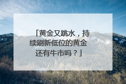 黄金又跳水，持续刷新低位的黄金还有牛市吗？