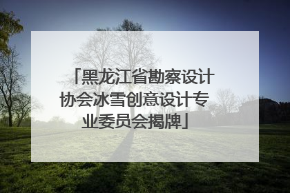 黑龙江省勘察设计协会冰雪创意设计专业委员会揭牌
