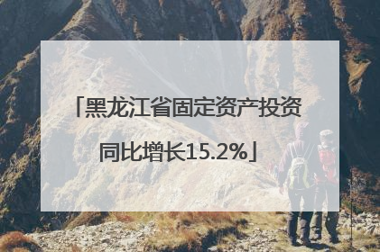黑龙江省固定资产投资同比增长15.2%