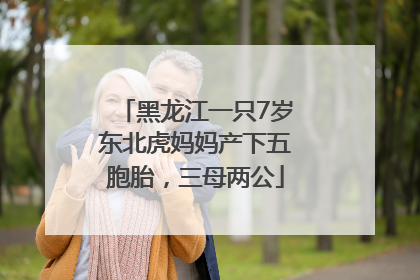 黑龙江一只7岁东北虎妈妈产下五胞胎，三母两公