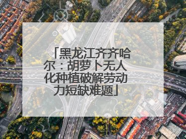 黑龙江齐齐哈尔：胡萝卜无人化种植破解劳动力短缺难题