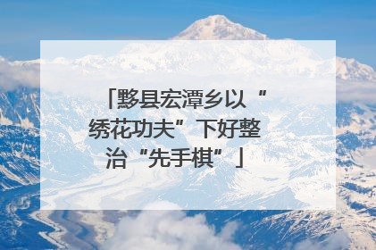 黟县宏潭乡以“绣花功夫”下好整治“先手棋”