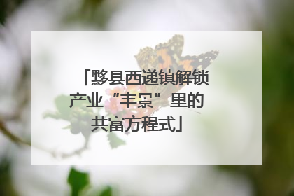 黟县西递镇解锁产业“丰景”里的共富方程式