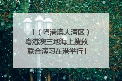 （粤港澳大湾区）粤港澳三地海上搜救联合演习在港举行