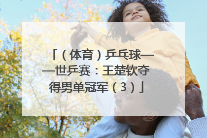（体育）乒乓球——世乒赛：王楚钦夺得男单冠军（3）