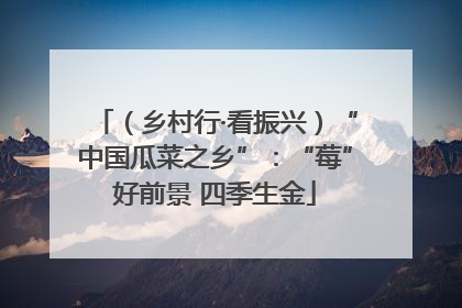 （乡村行·看振兴）“中国瓜菜之乡”：“莓”好前景 四季生金