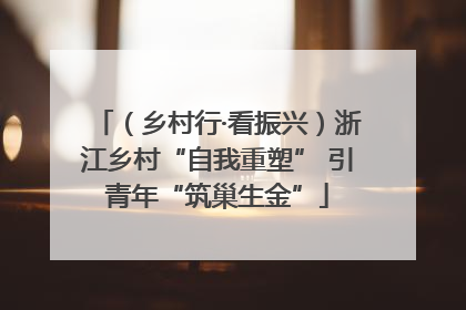 （乡村行·看振兴）浙江乡村“自我重塑” 引青年“筑巢生金”