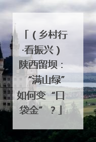 （乡村行·看振兴）陕西留坝：“满山绿”如何变“口袋金”？