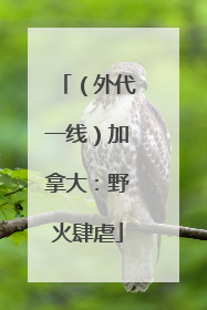 （外代一线）加拿大：野火肆虐