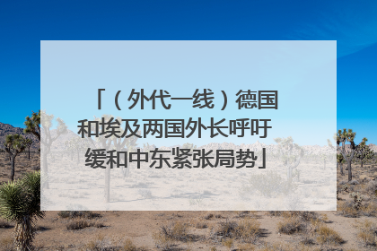 （外代一线）德国和埃及两国外长呼吁缓和中东紧张局势