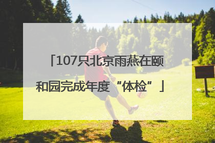 107只北京雨燕在颐和园完成年度“体检”