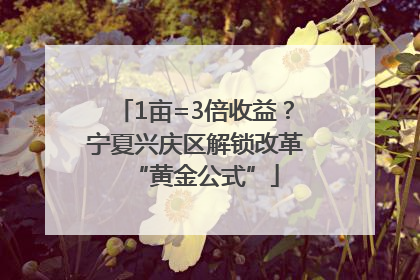 1亩=3倍收益？宁夏兴庆区解锁改革“黄金公式”